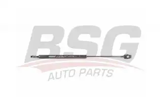 BSG 15980010 Motor Kaput Amortisörü