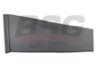 BSG 30925008 Kapı Direk Çıtası Arka Sol