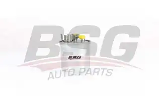 BSG 90130020 Yakıt Filtresi