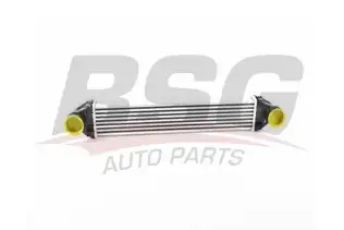 BSG 60535020 Turbo Radyatörü