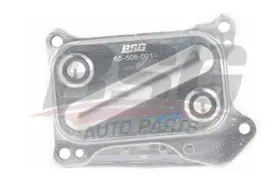 BSG 65506001 Yağ Soğutucusu