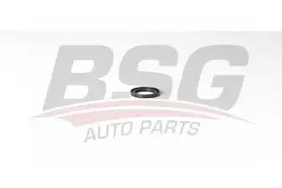 BSG 30116128 Prizdirek Keçesi