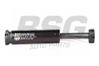 BSG 60980016 Bagaj Amortisörü