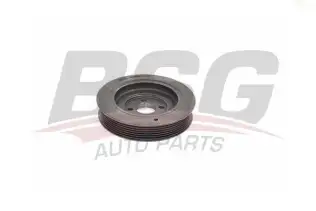BSG 70170006 Krank Kasnağı