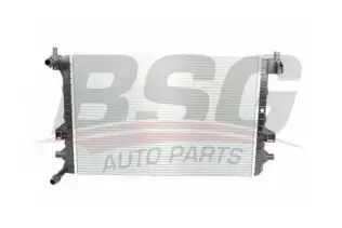 BSG 90520017 Su Radyatörü