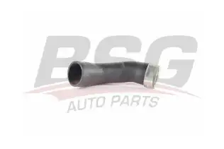 BSG 90720090 Turbo Hortumu