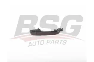 BSG 40970025 Kapı Dış Açma Kolu Arka Sol