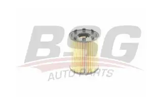 BSG 25140001 Yağ Filtresi
