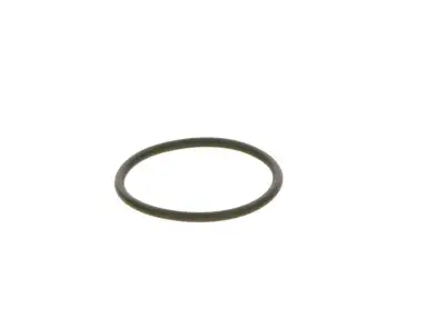 BOSCH F00R0P0166 O-Ring - 20. Görsel
