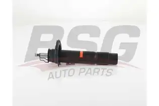 BSG 15300030 Amortisör Ön