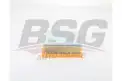 BSG 30135030 Hava Filtresi