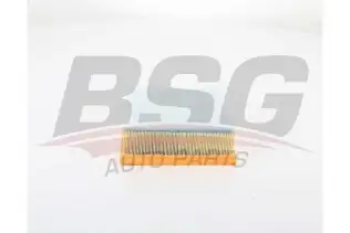 BSG 30135030 Hava Filtresi