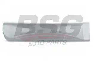 BSG 65925019 Kapı Bandı Arka Sağ