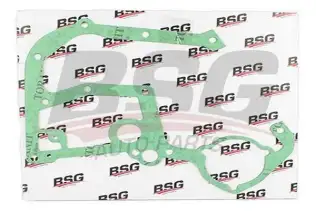 BSG 30116028 Eksantrik Kapak Contası