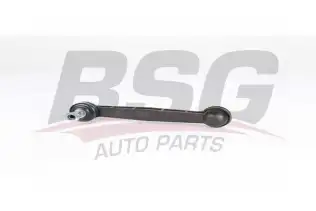 BSG 25310045 Viraj Askı Rotu Arka