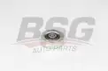 BSG 15615012 V Kayış Gergi Rulmanı