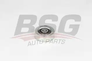BSG 15615012 V Kayış Gergi Rulmanı
