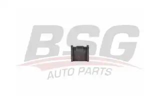 BSG 16700006 Viraj Demir Lastiği Ön