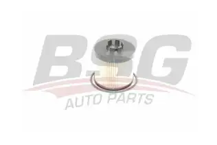 BSG 90140014 Yağ Filtresi