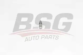BSG 40122025 Supap Itıcı