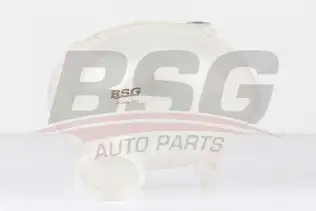 BSG 70550002 Radyatör Yedek Su Deposu