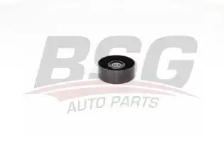 BSG 60615019 V Kayış Gergi Rulmanı