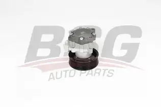 BSG 15355030 Direksiyon Pompası