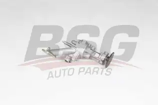 BSG 75101009 Yağ Pompası