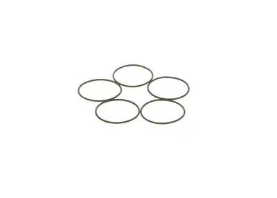 BOSCH 1410210053 O-Ring - 14. Görsel