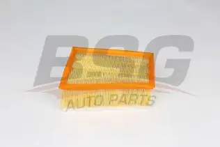 BSG 75135025 Hava Filtresi