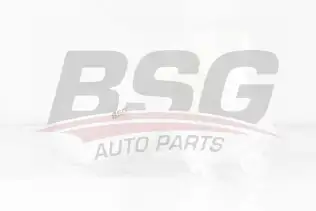 BSG 70550011 Radyatör Yedek Su Deposu