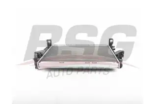 BSG 90520029 Su Radyatörü