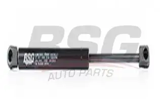 BSG 90980030 Bagaj Amortisörü