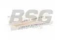 BSG 70145011 Polen Filtresi