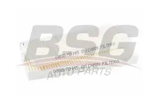 BSG 70145011 Polen Filtresi