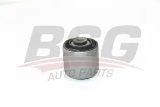 BSG 60700187 Üst Salıncak Burcu
