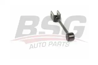 BSG 90310177 Viraj Askı Rotu Arka
