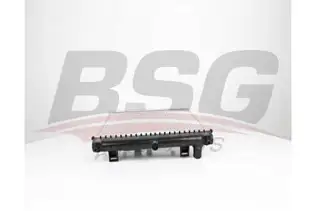 BSG 40520049 Su Radyatörü