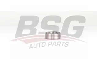 BSG 90605009 Teker Rulmanı Ön