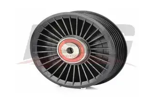 BSG 60615014 V Kayış Gergi Rulmanı