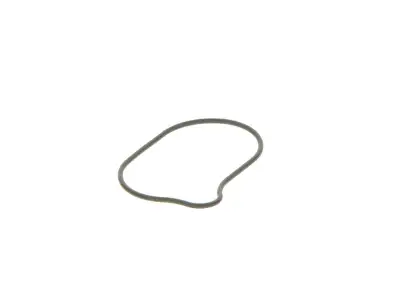 BOSCH 2440210028 O-Ring - 13. Görsel