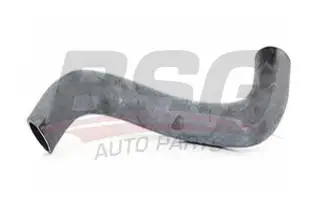 BSG 65720110 Turbo Hortumu