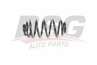BSG 65305023 Helezon Yayı Arka