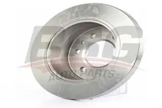 BSG 60210018 Fren Diski Arka