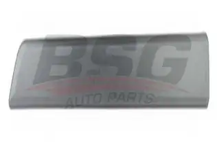 BSG 70924005 Kapı Bandı Ön Sağ