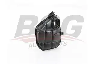 BSG 60550013 Radyatör Yedek Su Deposu