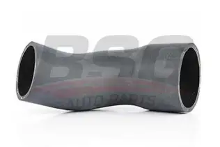 BSG 60720012 Turbo Hortumu