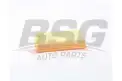 BSG 75135010 Hava Filtresi