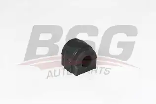 BSG 15700031 Viraj Demir Lastiği Ön