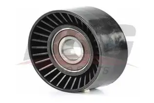 BSG 65615021 V Kayış Gergi Rulmanı
